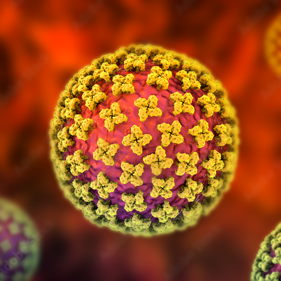 Hantavirus Microscopic View